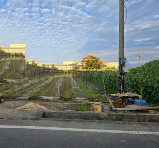 高雄大寮農地-0