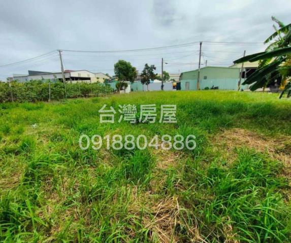 大社農地-0
