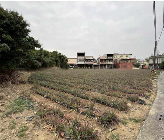 高雄建地-0