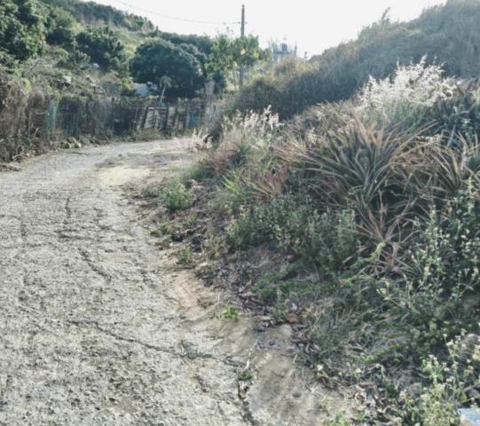 鳥松農地-0
